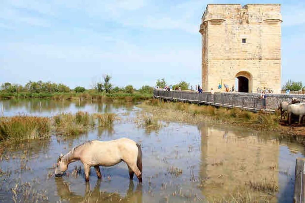 Maison Chaleureuse A 5 Mins Des Remparts Эг-Морт Экстерьер фото