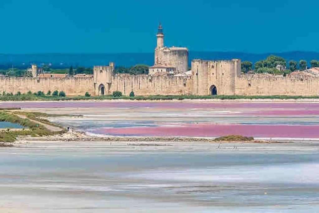 Maison Chaleureuse A 5 Mins Des Remparts Эг-Морт Экстерьер фото